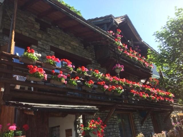 Ferienwohnung Le P'Tit Coin Montagne Bonneval-sur-Arc Exterior foto